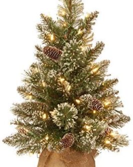 National Tree Company Pre-lit Artificial Mini Christmas Tree | Includes Small LED Lights, White Tipped, Glitter Branches Cones and Cloth Bag Base | Glittery Bristle Pine-2, 2 Foot, Green