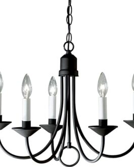 Progress Lighting P4008-31 Five Light Chandeliers, 21-Inch Diameter x 16-Inch Height, Black