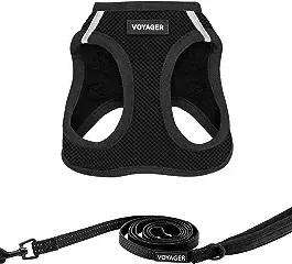 Voyager Step-in Air Dog Harness – All Weather Mesh Step in Vest Harness for Small and Medium Dogs – Black S