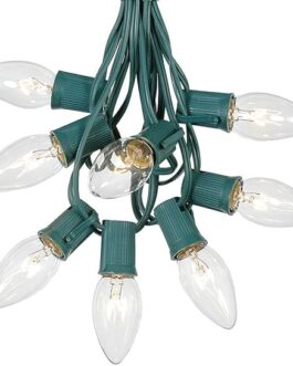 C9 Clear Christmas String Light Set – Outdoor Christmas Light String – Hanging Christmas Lights – Roofline Light String – Outdoor Patio String Lights – Green Wire – 25 Foot