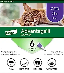 Advantage IIYueua Flea Prevention for Large Cats 6 Monthly Treatments