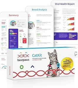 Basepaws Cat DNA Test Kit