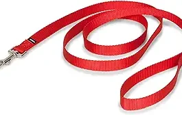PetSafe Nylon Dog Leash Durable Easy to Use Bolt Snap 6 ft x 3/4 in Red