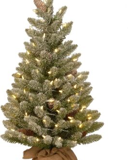 National Tree Company Pre-lit Artificial Mini Christmas Tree | Includes Small White LED Lights and Cloth Bag Base | Snowy Concolor Fir Burlap – 3 ft, Brown/Green