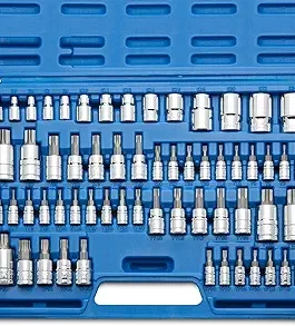 Neiko 10083A 60-Piece Torx Bit Socket and External Torx Socket Set S2 and CrV Steel