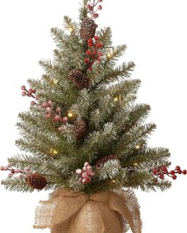 National Tree Company Pre-Lit Artificial Mini Christmas Tree, Green, Dunhill Fir, White Lights, Decorated with Pine Cones, Berry Clusters, Frosted Branches, Includes Cloth Bag Base, 2 Feet
