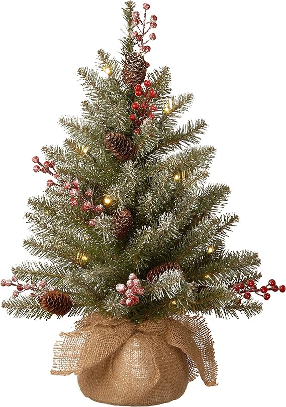 National Tree Company Pre-Lit Artificial Mini Christmas Tree, Green, Dunhill Fir, White Lights, Decorated with Pine Cones, Berry Clusters, Frosted Branches, Includes Cloth Bag Base, 2 Feet